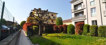 Panoramico Trilocale ultimo piano,terrazzo e doppiobox - V000627